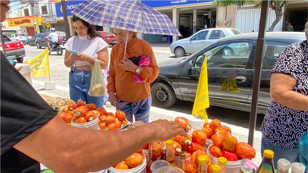 FEIRA AGROECOLÓGICA DE QUIXADÁ - OUTUBRO JÁ CHEGOU COM SUA PRIMEIRA EDIÇÃO!