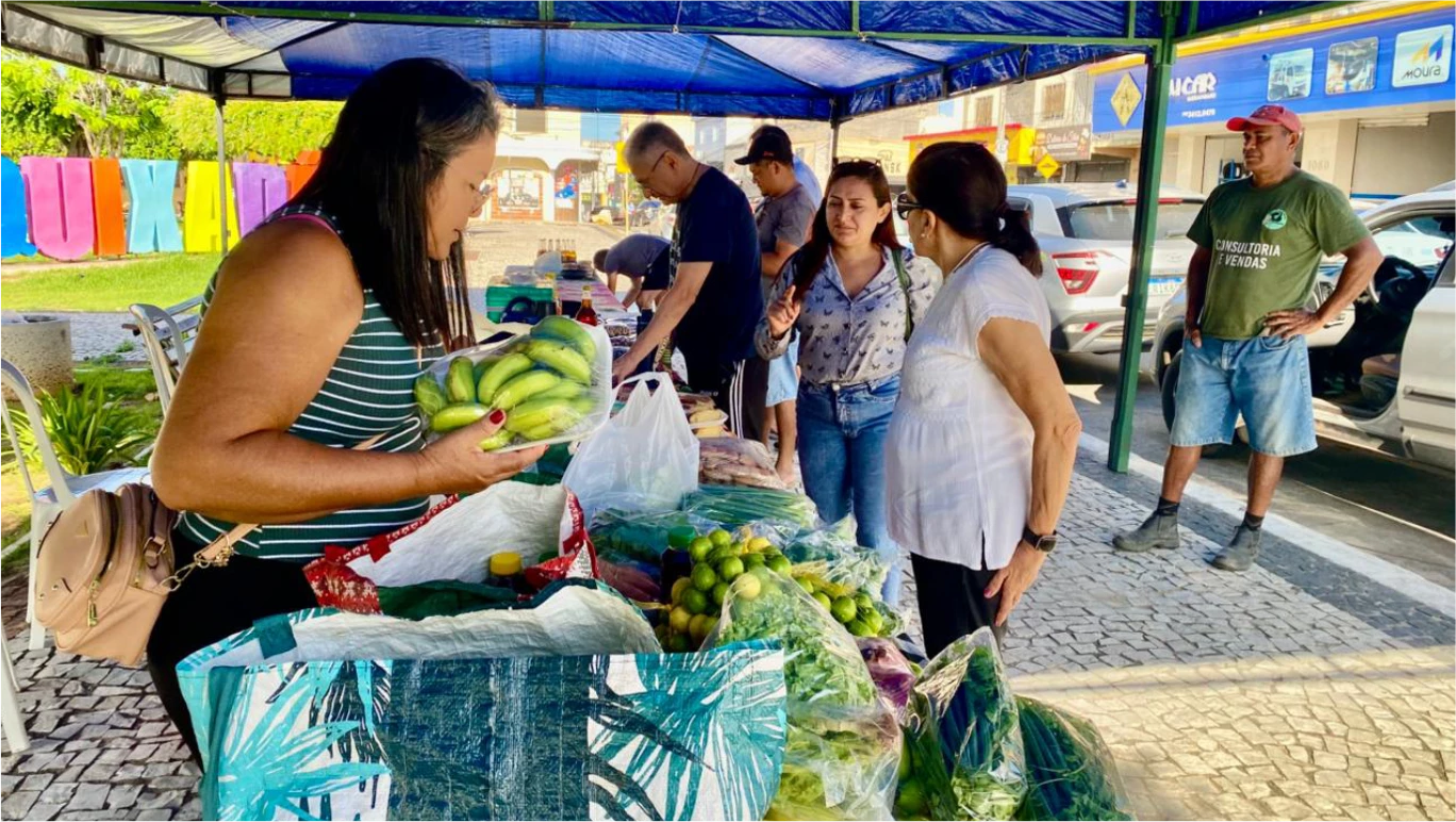 FEIRA AGROECOLÓGICA DE QUIXADÁ – PRIMEIRA EDIÇÃO DE FEVEREIRO DE 2025.