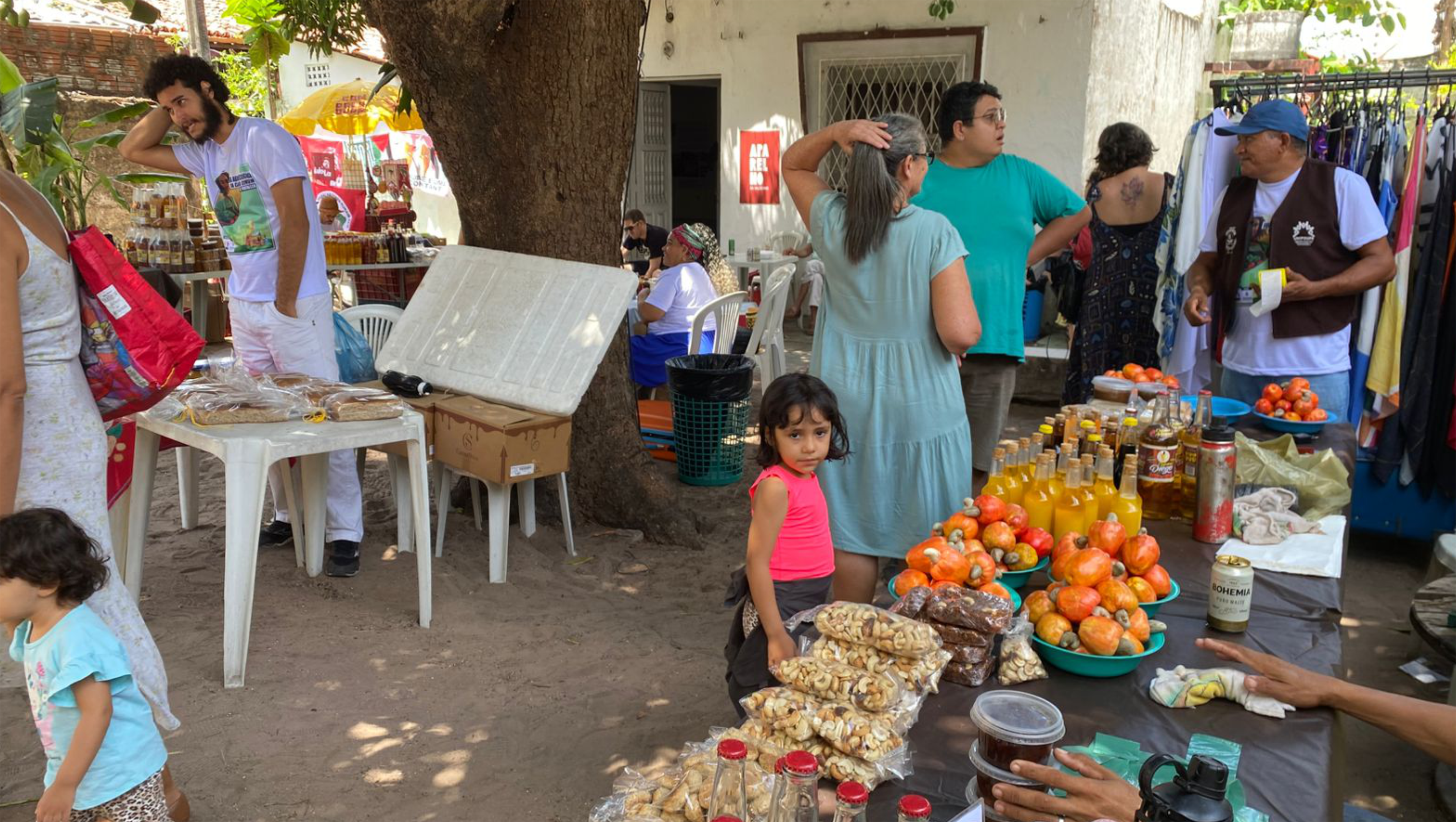 FEIRA AGROECOLÓGICA DA CASA COMUM DE FORTALEZA — EDIÇÃO DE NOVEMBRO DE 2025