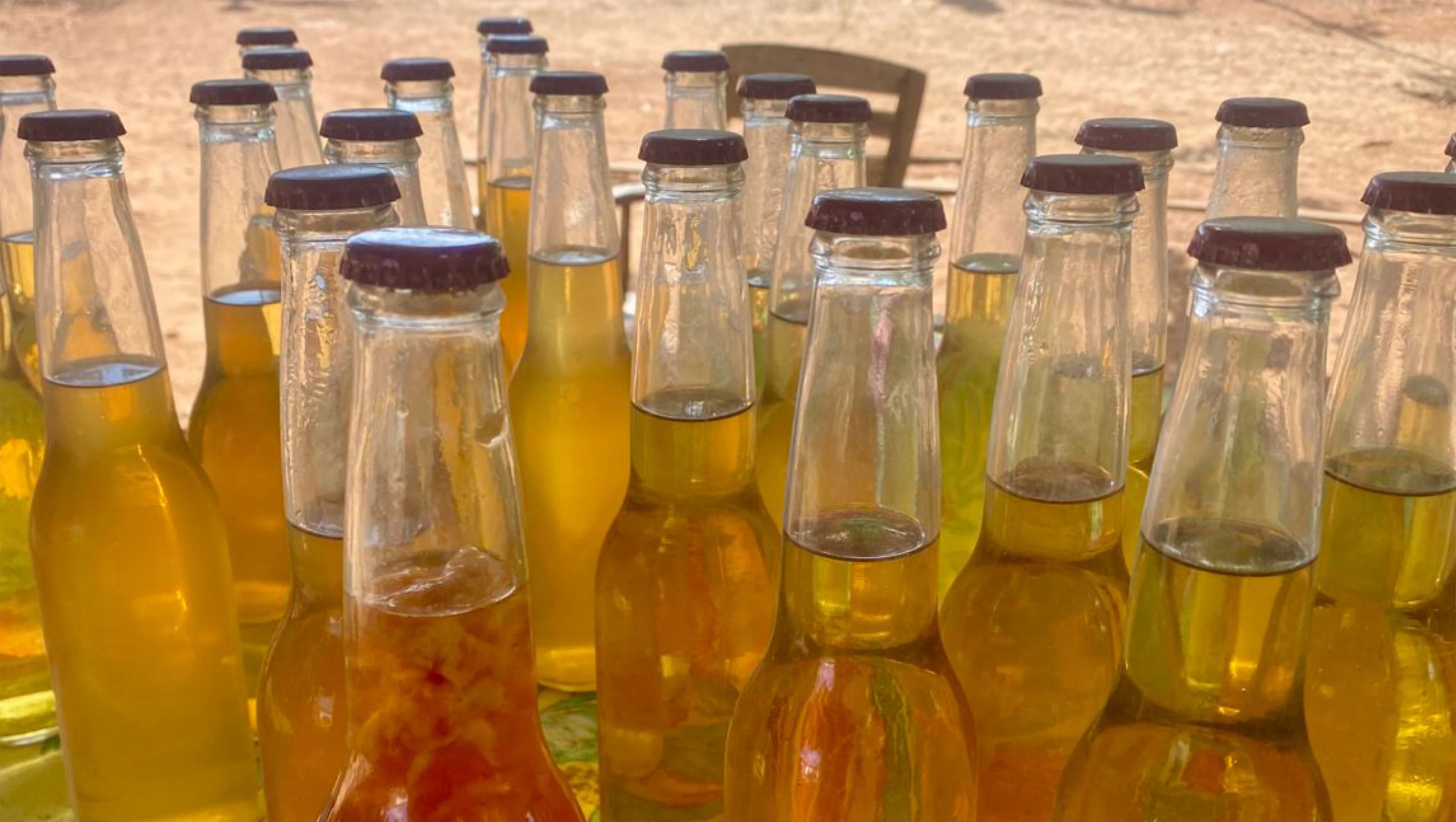 PRODUÇÃO DE CAJUÍNA ARTESANAL