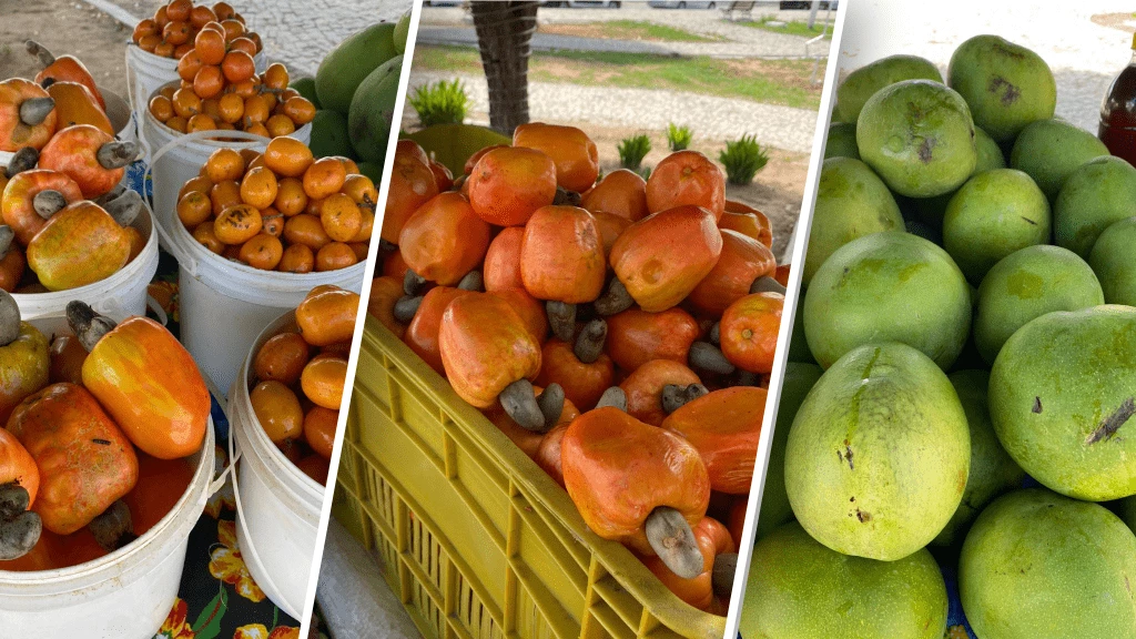 II EDIÇÃO DE 2024 DA FEIRA AGROECOLÓGICA DE QUIXADÁ.