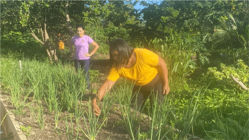 DIA DE CAMPO: VISITA TÉCNICA EM VILA RICA.