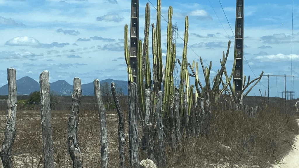 MUDANÇAS CLIMÁTICAS E AS SECAS.