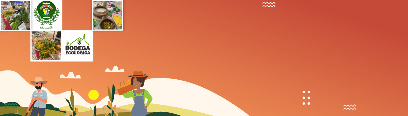 FEIRA AGROECOLÓGICA.